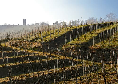 Supervulcano della Valsesia: un terroir unico per vini eccezionali