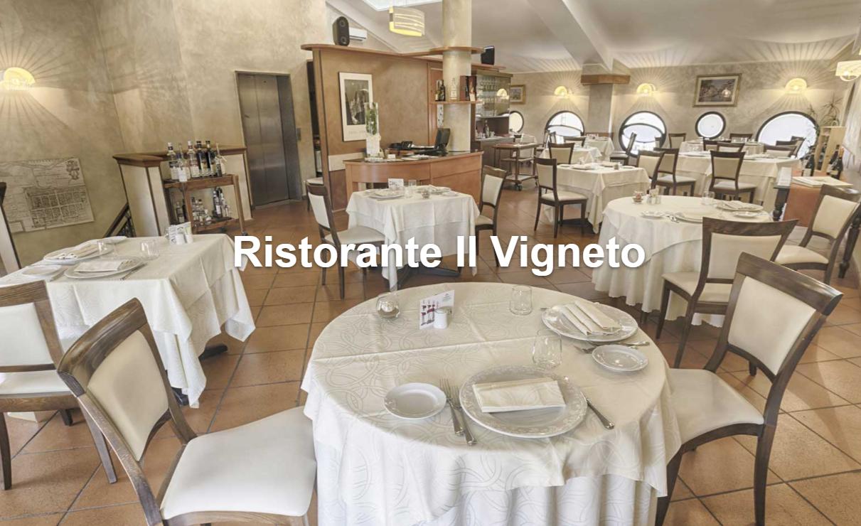 Il Vigneto