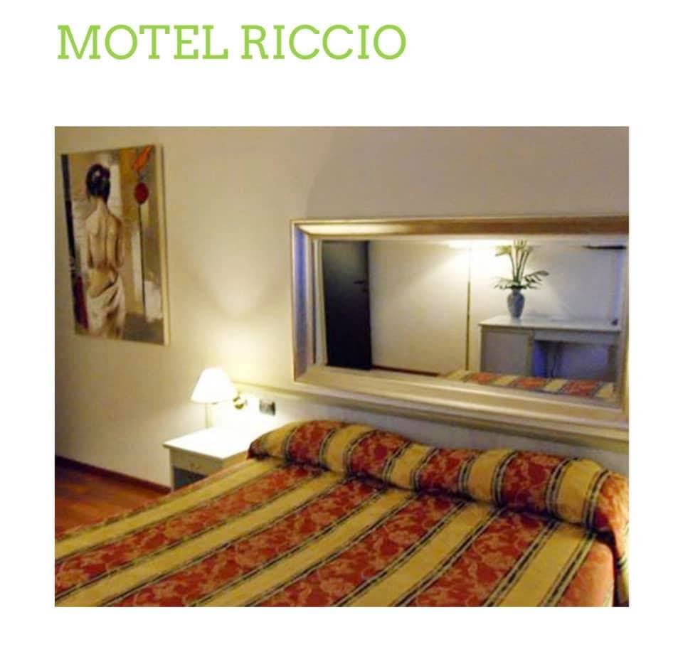 il riccio_2.jpg