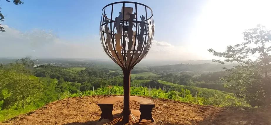 Trekking tra vigneti e arte lungo le Vie dei Calici